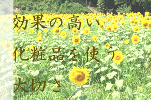 効果の高い化粧品